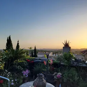 Un Nid Sur Les Toits Avignon